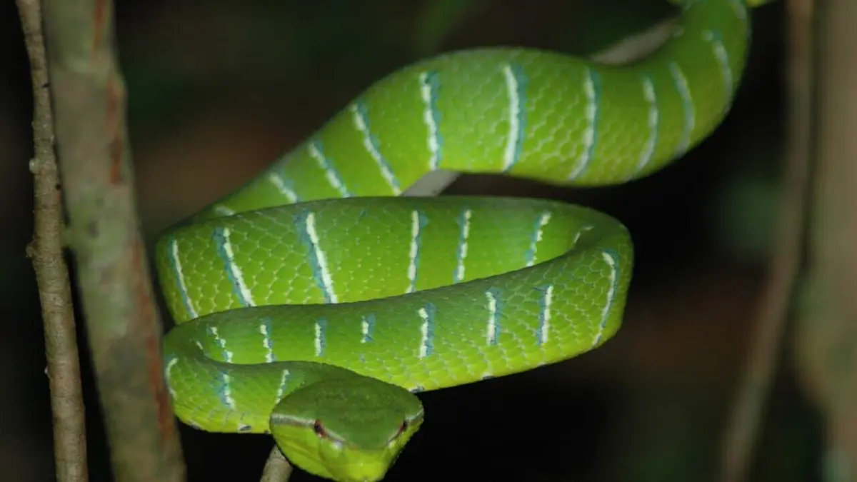 Génération Vitesse Episode 1