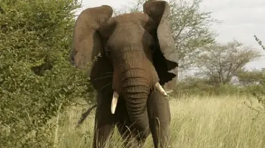 Quand la plaine tremblera