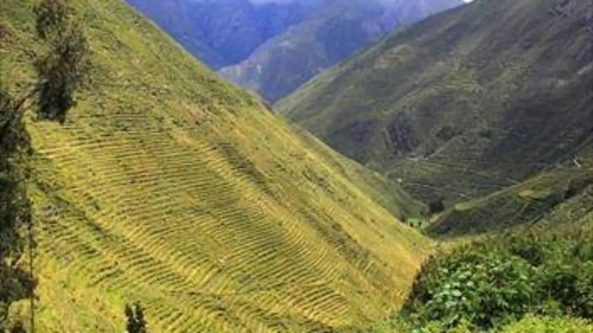 GEO Reportage Pérou, l'agriculture en terrasses