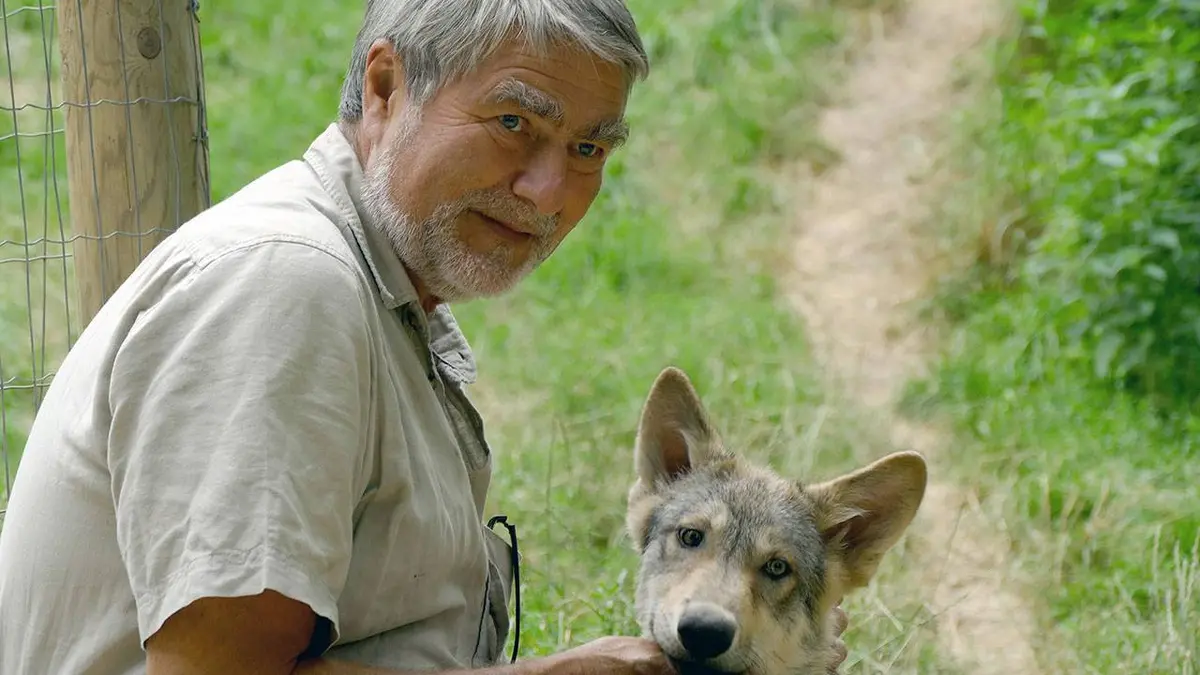 GEO Reportage Kurt, un homme parmi les loups