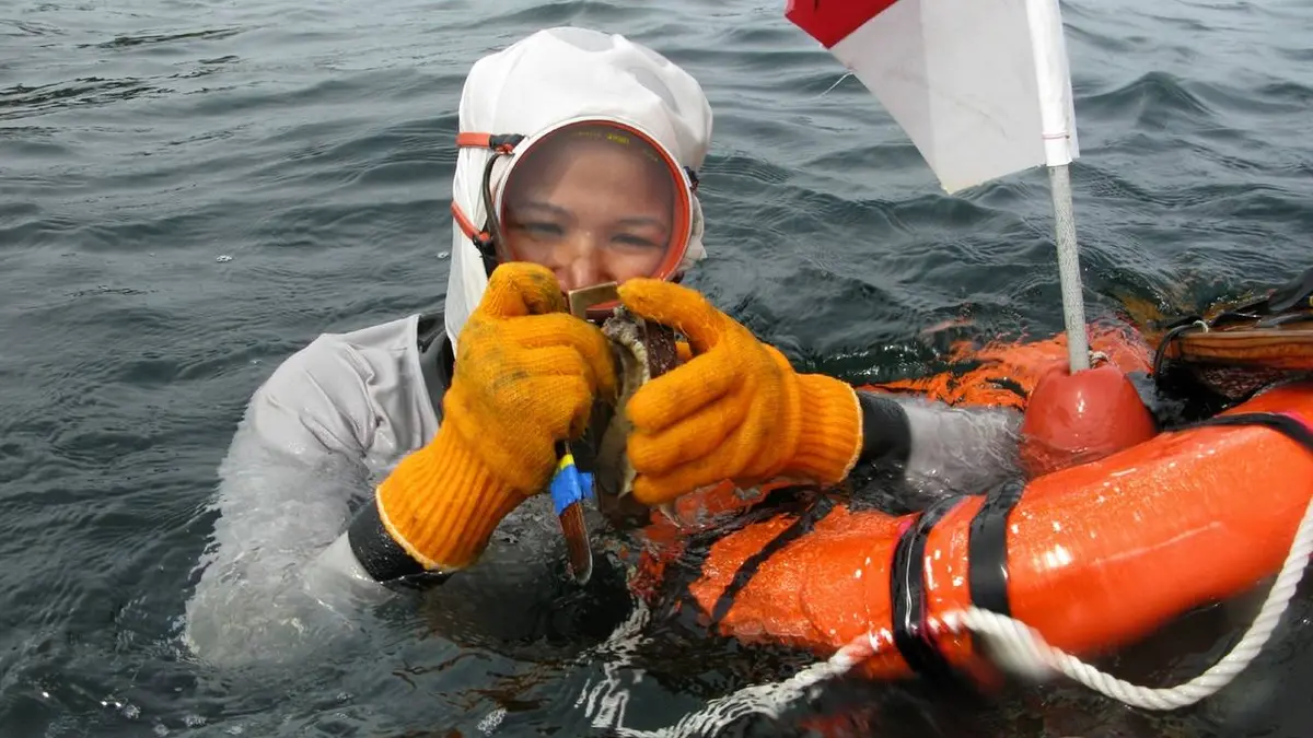 GEO Reportage Japon, les reines de la mer