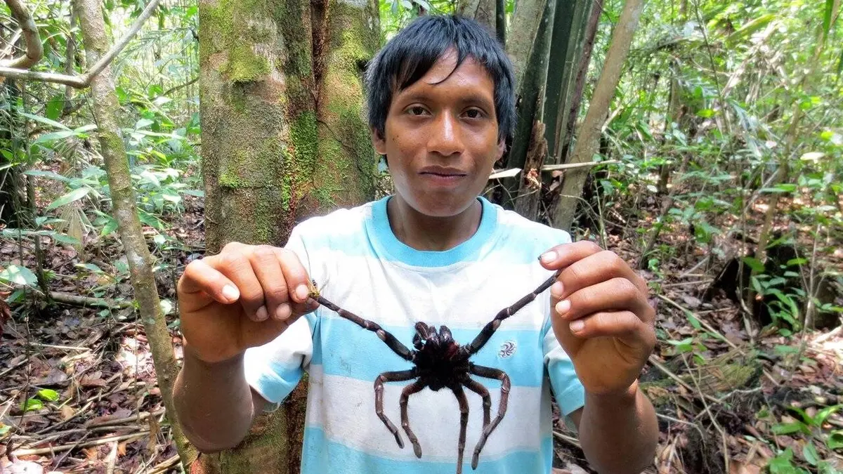 GEOlino Des mygales grillées au menu