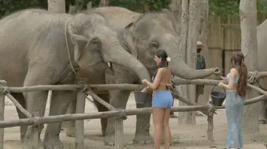 Des soucis au paradis