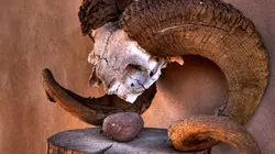 Visuel de Georgia O'Keeffe ou les toiles du désert