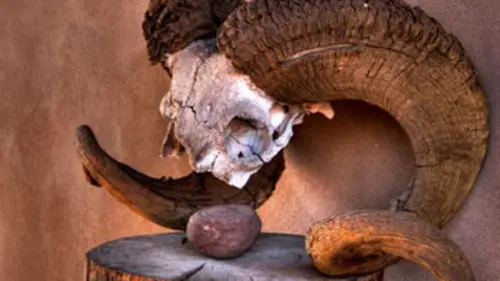 Georgia O'Keeffe ou les toiles du désert