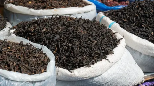 Casting Géorgie : le thé de la liberté ?