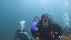 Ghost Ships : chasseurs d'épaves