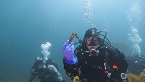 Ghost Ships : chasseurs d'épaves Le S.S. Clare Lilley