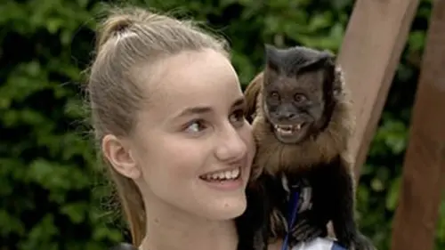 Audiences TV : Gibby