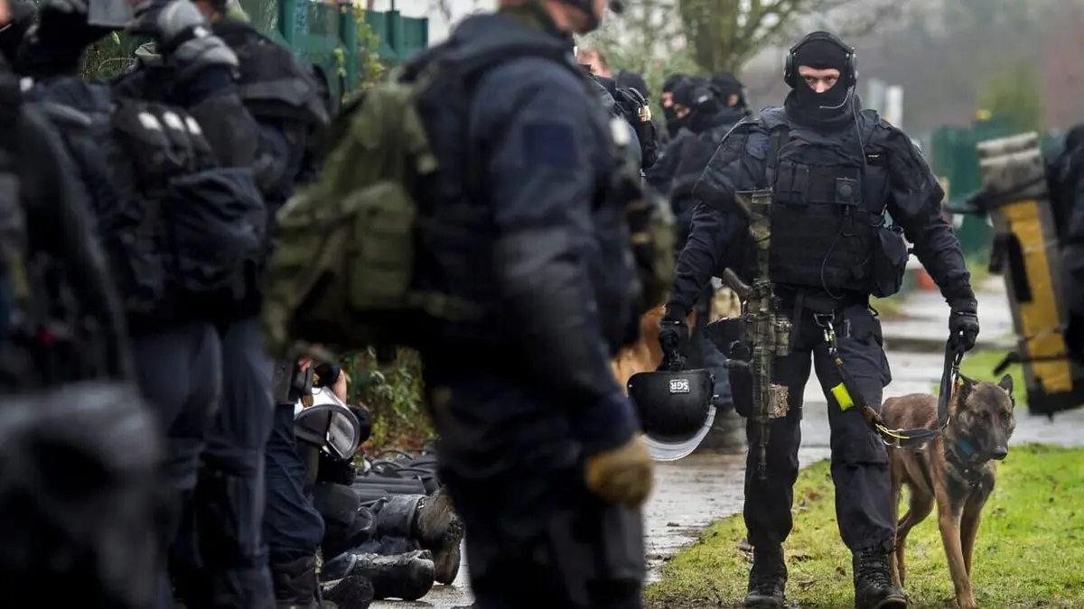 Visuel de GIGN, unité d'élite La traque (Dammartin-en-Goële 2015)