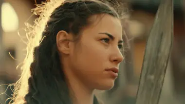 Le Colisée et ses bestiaires