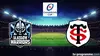 Glasgow Warriors / Toulouse Rugby Champions Cup 2025-2026