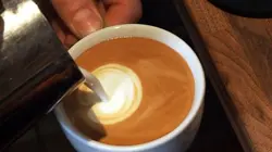 Visuel de Une planète couleur café