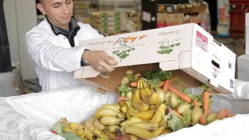 Global gâchis, le scandale mondial du gaspillage alimentaire