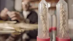 Gluten, l'ennemi public ?