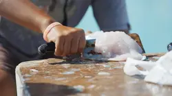 Goélettes, le lien au coeur des îles