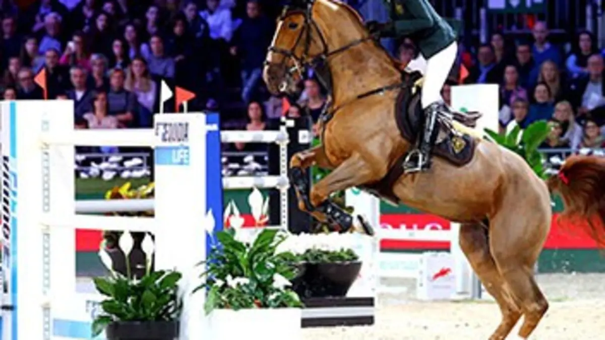 Gold Cup Equitation Paris Masters 2015