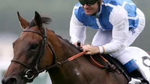 Goldikova, de l'or plein les yeux