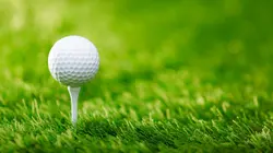 Golf Divers