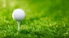 Golf HotelPlanner Tour, Estonian Challenge