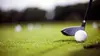 Golf Open d'Afrique du Sud 2024