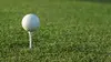 Golf Open d'Anvers