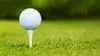 Golf Open de Philadelphie