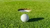 GOLF Presidents Cup, film officiel 2022