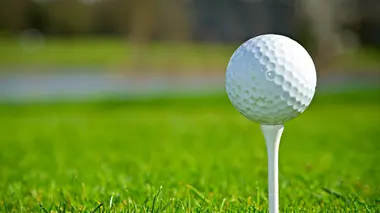 Golf Tournoi des champions 2024
