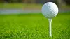 Golf: World Golf Championships