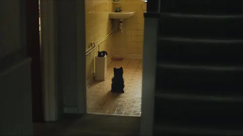 Good Boy