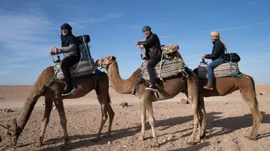 Le bêtisier et autres délices