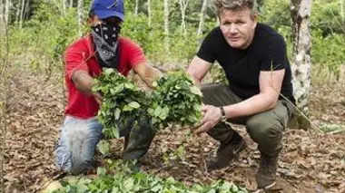 Qdoc : Gordon Ramsay on Cocaine