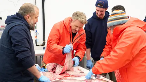 Gordon Ramsay : mission extrême Le Savin
