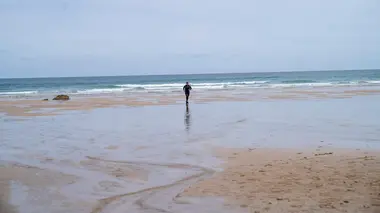 Gordon Ramsay's Future Food Stars