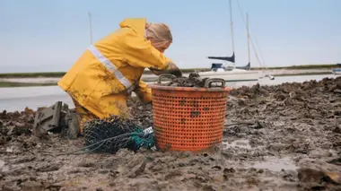 Gordon Ramsay's Future Food Stars