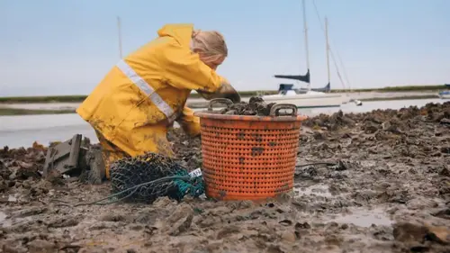 Épisodes de Gordon Ramsay's Future Food Stars