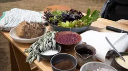 Gordon Ramsay, territoires inexplorés La Tasmanie