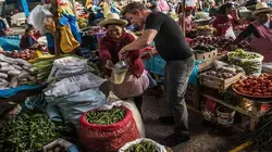 Gordon Ramsay, territoires inexplorés Le Guyana