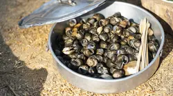 Gordon Ramsay, territoires inexplorés