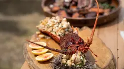 Gordon Ramsay, territoires inexplorés La Tasmanie