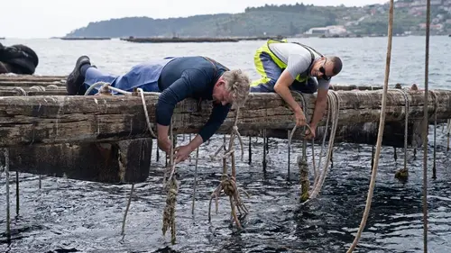 Gordon Ramsay, territoires inexplorés Les délices de Galice