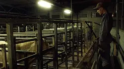 Gorge coeur ventre en streaming