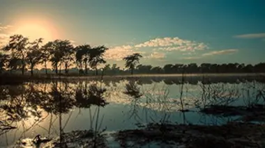 En compagnie des crocodiles