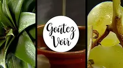 Visuel de Goûtez voir