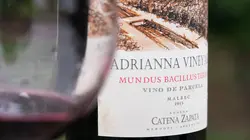 Goûts et saveurs de l'Argentine S01E03 Mendoza