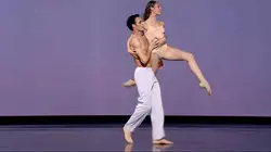 Graines d'étoiles, les années de maturité