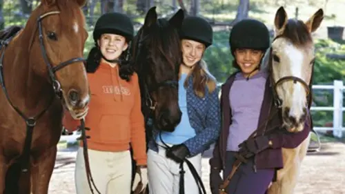 Grand galop en streaming