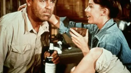 Grand méchant loup appelle en streaming