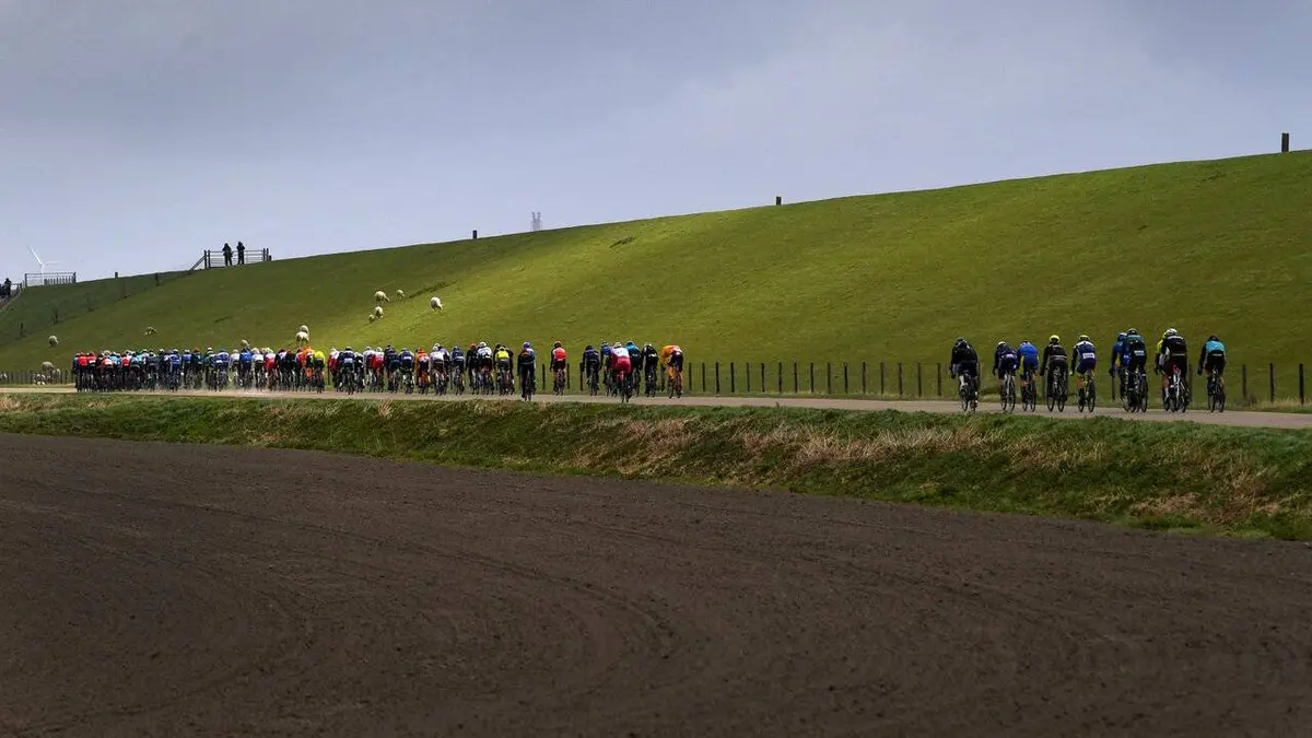 Grand Prix de l'Escaut Cyclisme Grand Prix de l'Escaut 2022